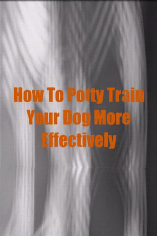 How To Train My Dog Effective