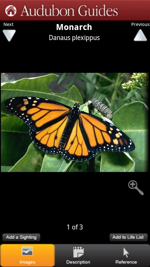 Audubon Butterflies Android Reference