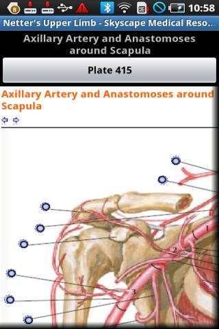 Netter’s Atlas: Upper Limb Android Health