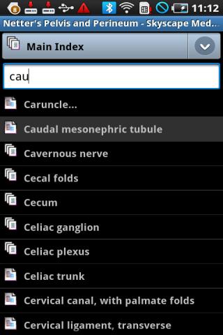 Netter’s: Pelvis and Perineum Android Health