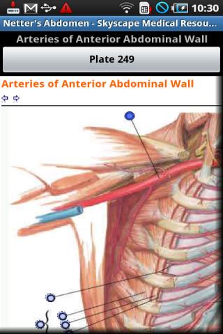 Netter’s Atlas: Human Anatomy Android Health