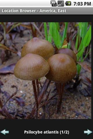 Shroom Field Guide Android Health