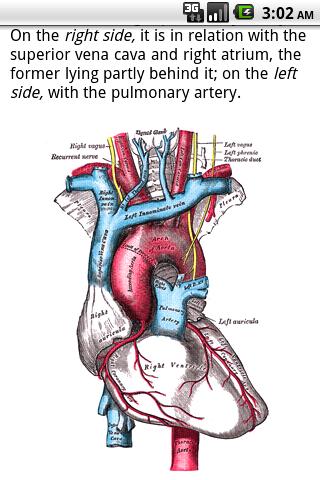 Gray Anatomy Android Health