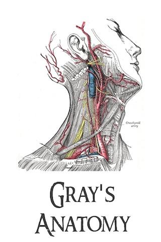 Gray Anatomy Android Health