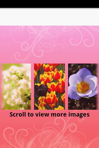 Spring Wallpaper Android Personalization