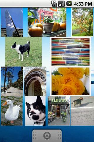 Photo Scrapbook Widget