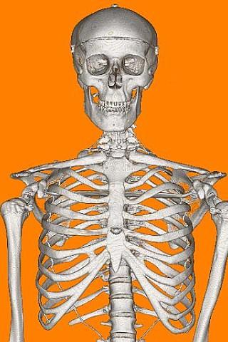 Halloween Wallpaper – Mr Bones Android Multimedia