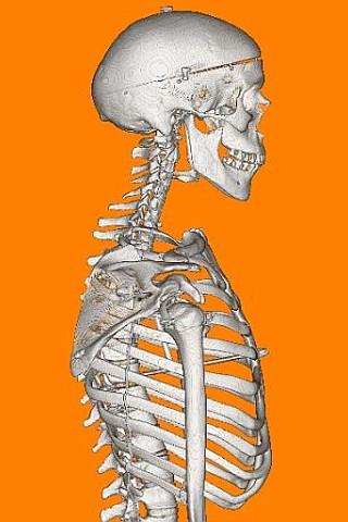 Halloween Wallpaper – Mr Bones Android Multimedia