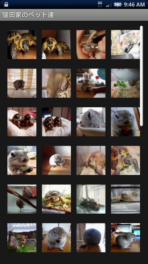 Pets of Kubota family Android Multimedia