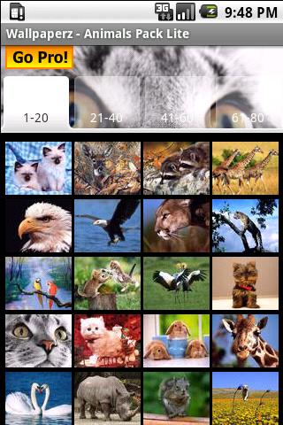 Pets & Animals Wallpapers Lite Android Multimedia