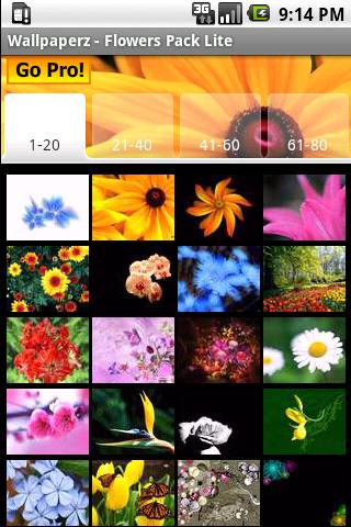 Flowers Wallpapers Lite Android Multimedia