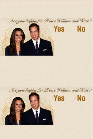 Give Opinion On Prince William