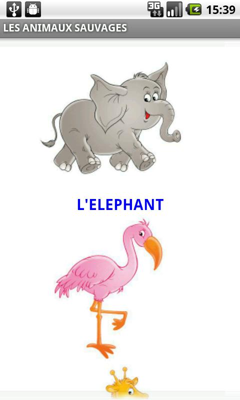 French Cards Wild Animals Android Communication