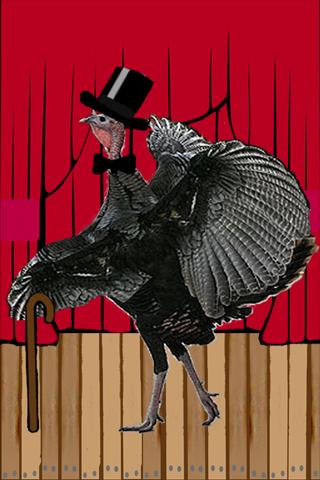 Gentleman Turkey