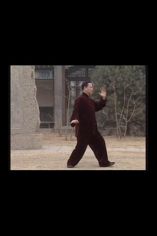 Kung Fu: Wu-Style Taijiquan 1 Android Entertainment