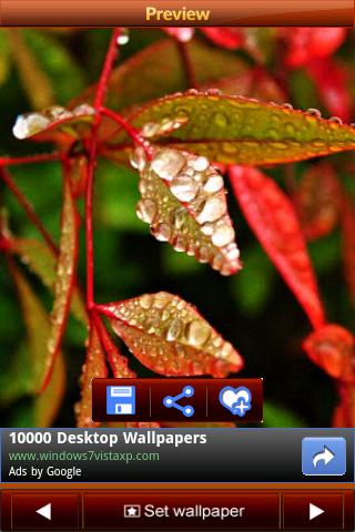 Rain drops Wallpapers Android Entertainment