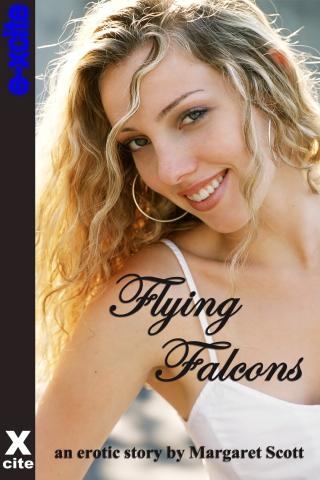 Flying Falcons Android Entertainment