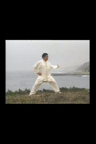 Chen-Style Chansigong III Android Entertainment