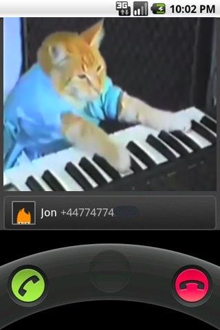 Keyboard Cat Video Ringtones Android Entertainment