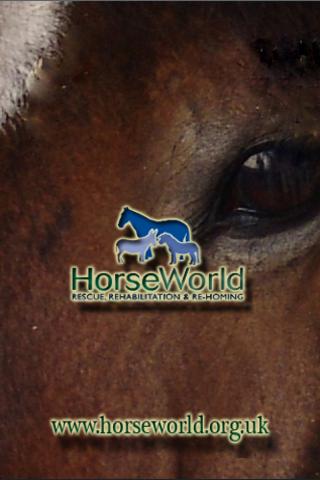 Horse World Lite Android Entertainment