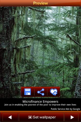 Forest Wallpapers Android Entertainment