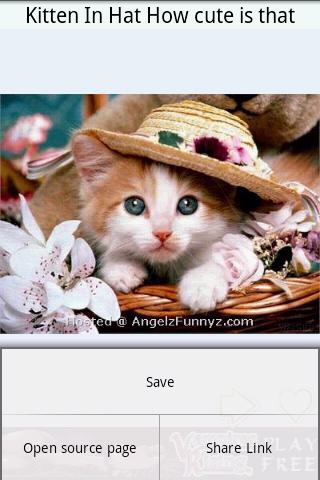 Cute cat &kittens Android Entertainment
