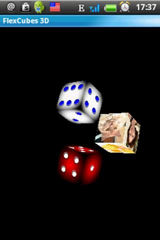 Flex Dice 3D