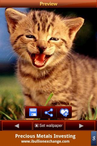 Kitty Wallpapers Android Entertainment