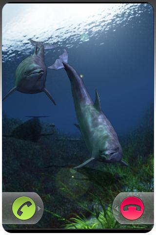 Video Ringtone DOLPHINS Android Lifestyle
