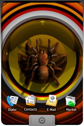 TARANTULA live wallpapers Android Lifestyle