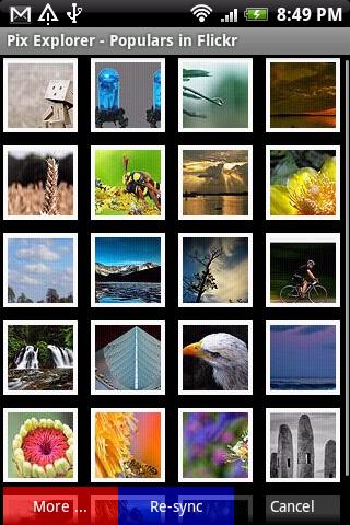 Flickr Explorer Android Lifestyle