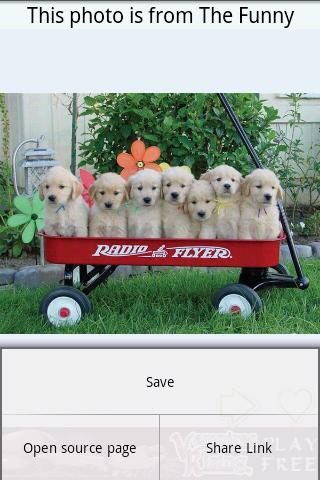 Funny dog & puppies Android Entertainment