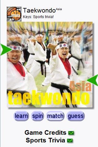 Taekwondo Tour (Keys) Android Arcade & Action