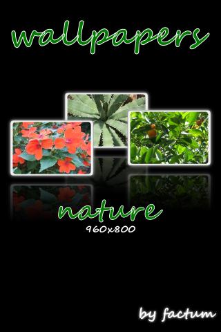 wallpapers-nature 960×800 Android Themes