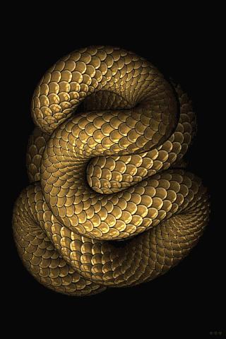 Slithering Snake Live Wall Android Themes