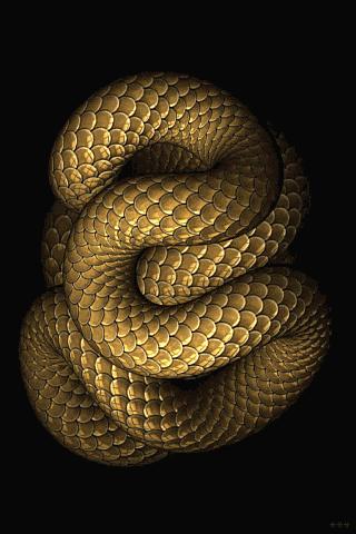 Slithering Snake Live Wall