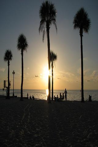 Clearwater Beach Wallpapers HQ Android Themes