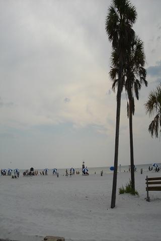 Clearwater Beach Wallpapers HQ Android Themes