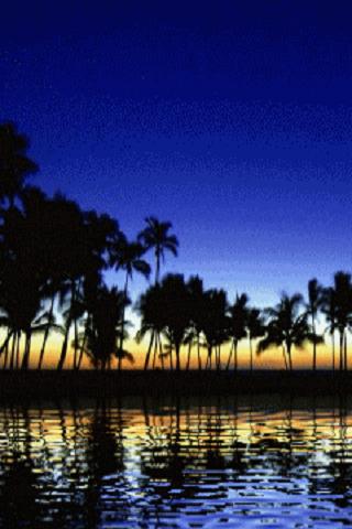 Tropical Beach Live Wallpaper Android Themes