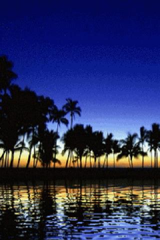 Tropical Beach Live Wallpaper