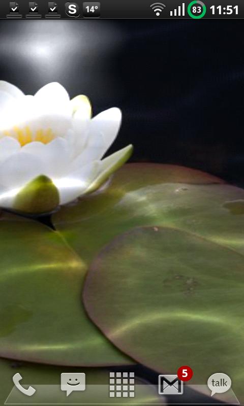 Nymphaea Water Lily LW Android Themes