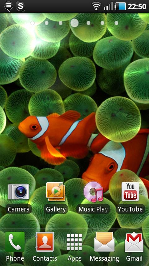 Apple Clownfish Live Wallpaper Android Themes