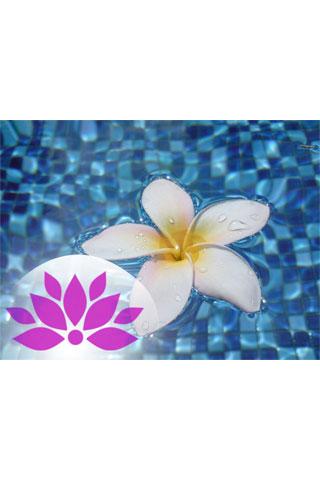 Zen Lily in water theme