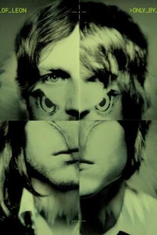 Kings of Leon Wallpapers Android Themes