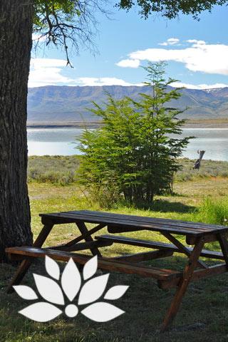 Zen Park Picnic