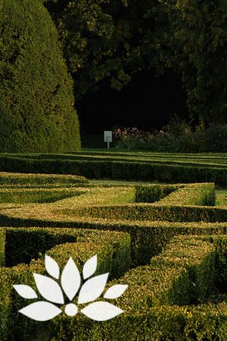 Zen Gardens Android Themes