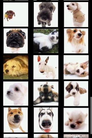Cute Dog Wallpaper Android Themes
