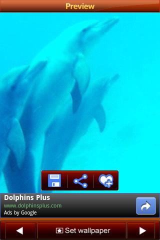 Dolphins Wallpapers Android Themes