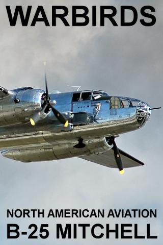 Warbirds: B-25 Mitchell Android Personalization