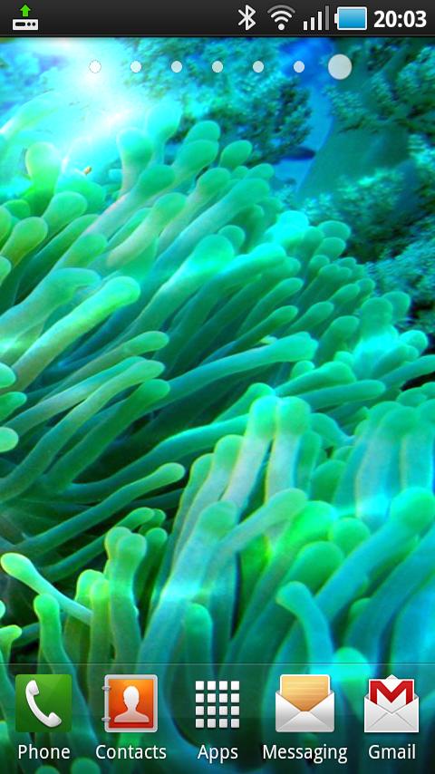 Ocean Polyps Live Wallpaper Android Themes